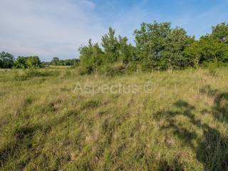 Land plot - other, Sale, Vrsar, Vrsar