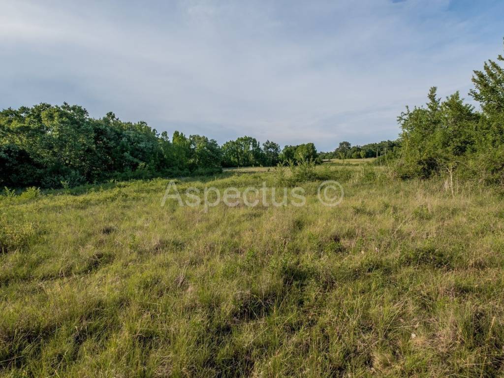 Land plot - other, Sale, Vrsar, Vrsar