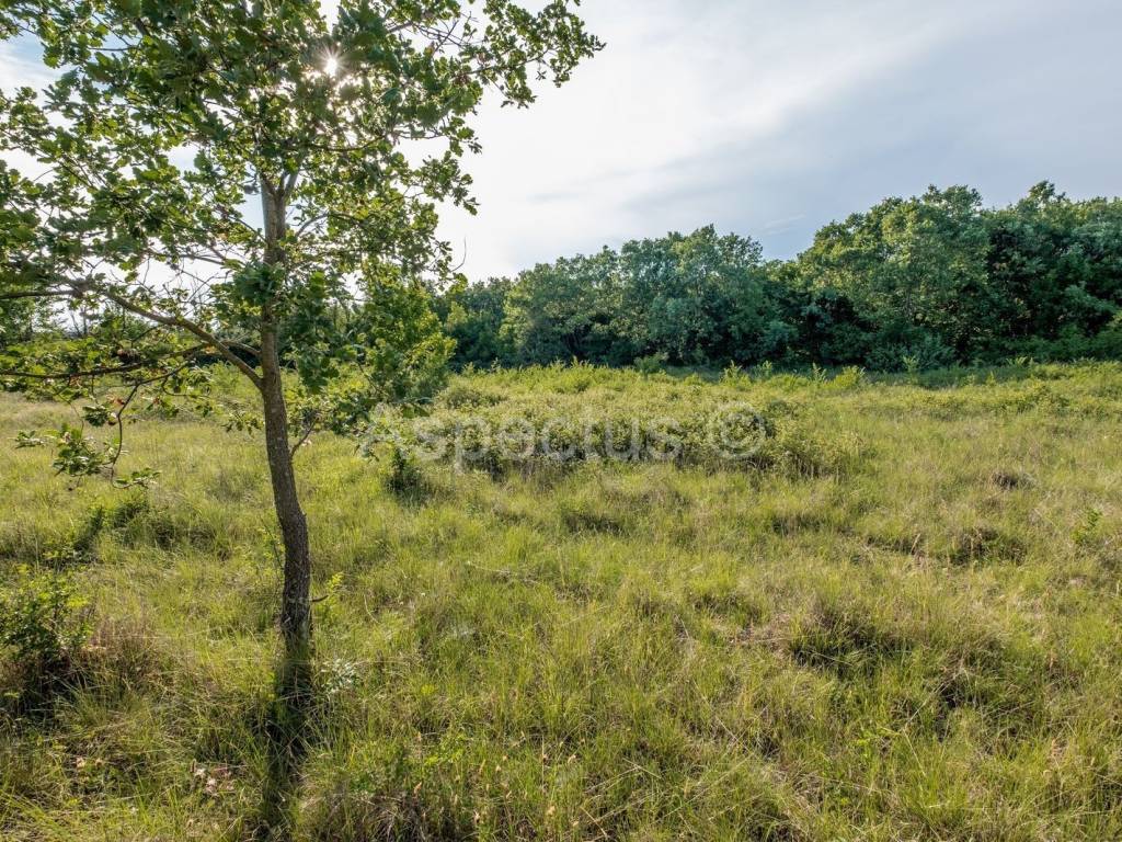Land plot - other, Sale, Vrsar, Vrsar