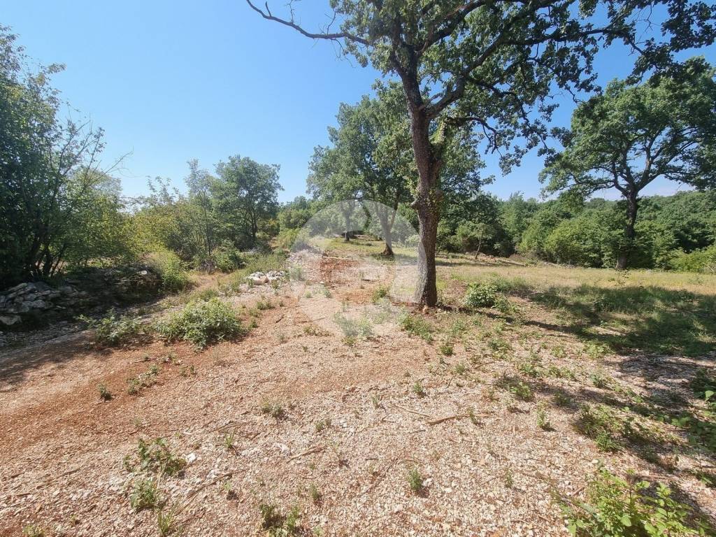 Plot for construction, Sale, Sveti Lovreč, Sveti Lovreč