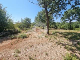 Plot for construction, Sale, Sveti Lovreč, Sveti Lovreč