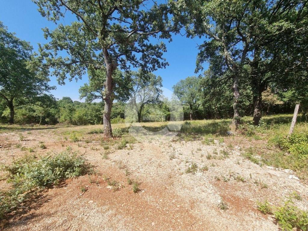 Plot for construction, Sale, Sveti Lovreč, Sveti Lovreč