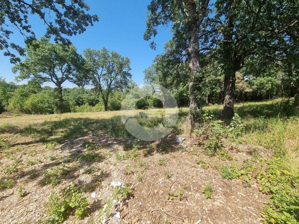 Plot for construction, Sale, Sveti Lovreč, Sveti Lovreč