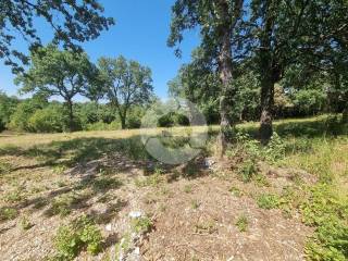 Plot for construction, Sale, Sveti Lovreč, Sveti Lovreč