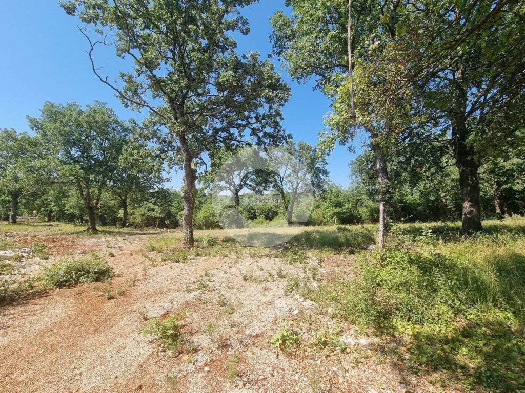 Plot for construction, Sale, Sveti Lovreč, Sveti Lovreč