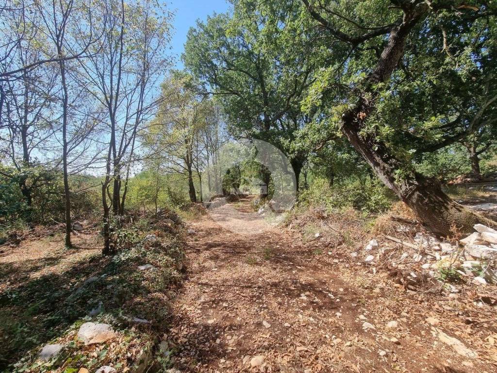 Plot for construction, Sale, Sveti Lovreč, Sveti Lovreč