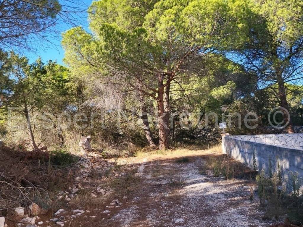 Plot for construction, Sale, Okrug, Okrug Gornji