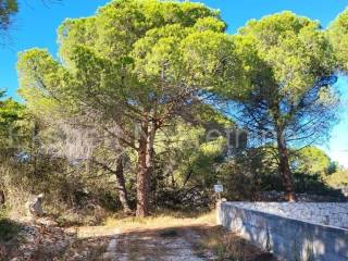 Plot for construction, Sale, Okrug, Okrug Gornji