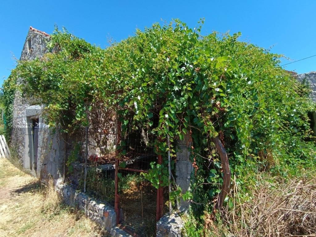 Stone house, Sale, Janjina, Janjina