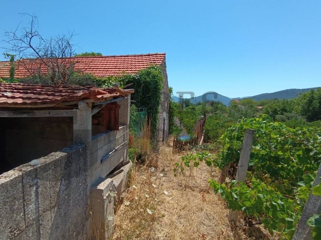 Stone house, Sale, Janjina, Janjina