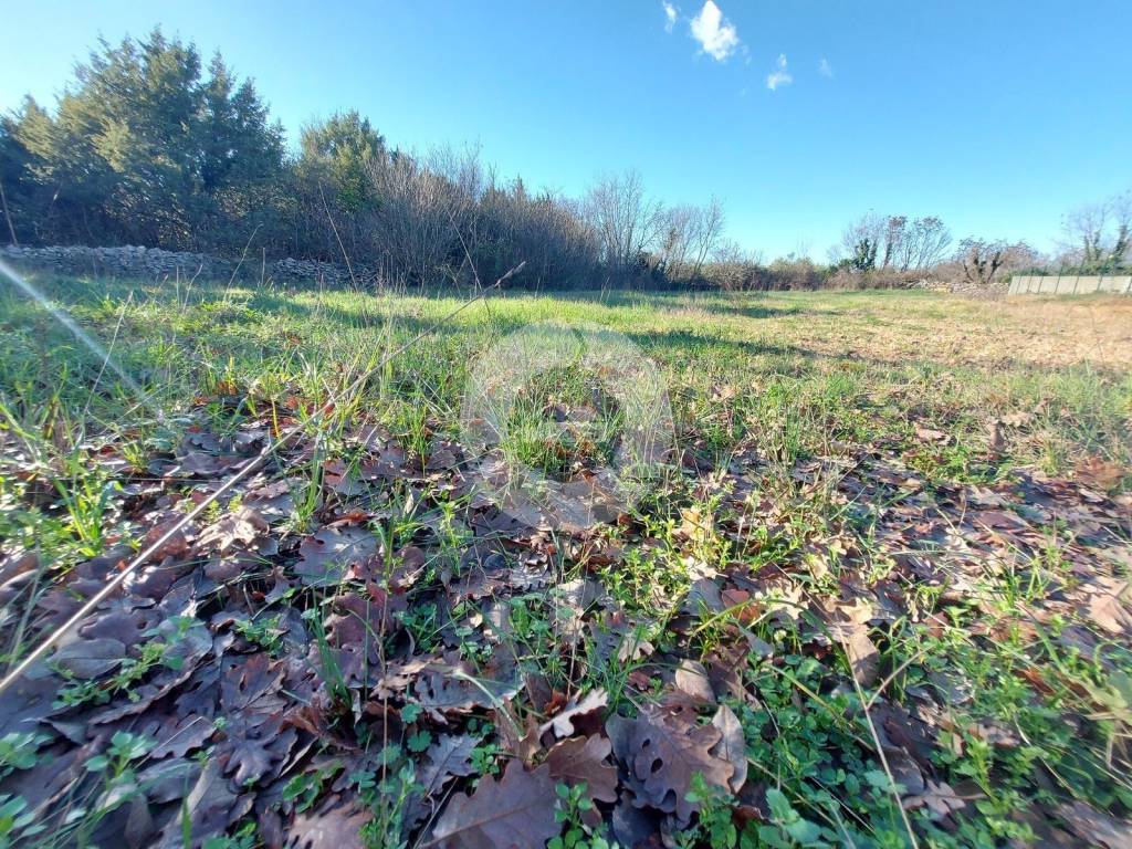 Plot for construction, Sale, Vodnjan, Vodnjan