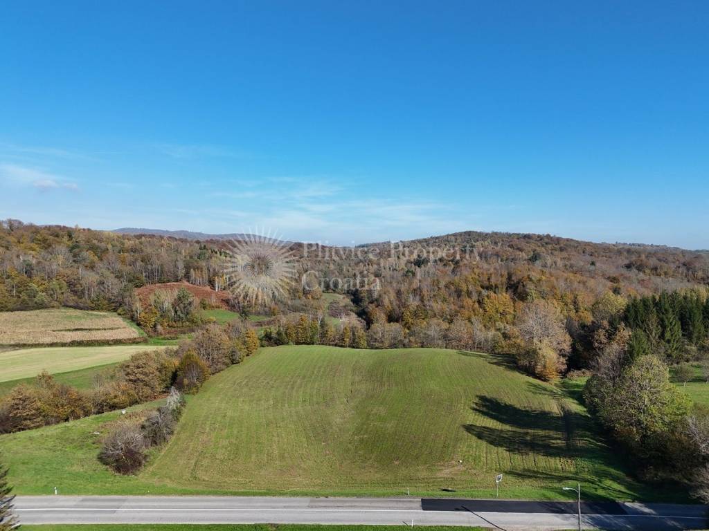 Agricultural plot, Sale, Ribnik, Griče