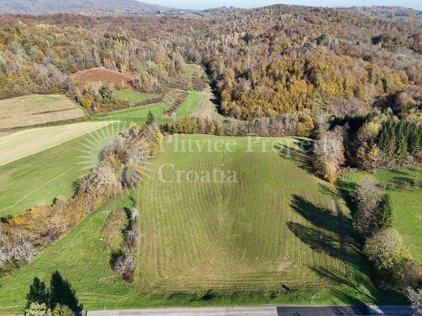 Agricultural plot, Sale, Ribnik, Griče