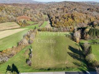 Agricultural plot, Sale, Ribnik, Griče