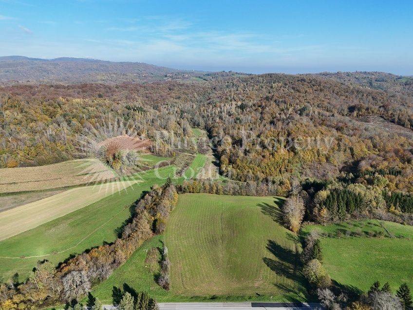 Agricultural plot, Sale, Ribnik, Griče