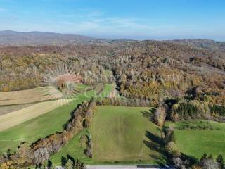 Agricultural plot, Sale, Ribnik, Griče