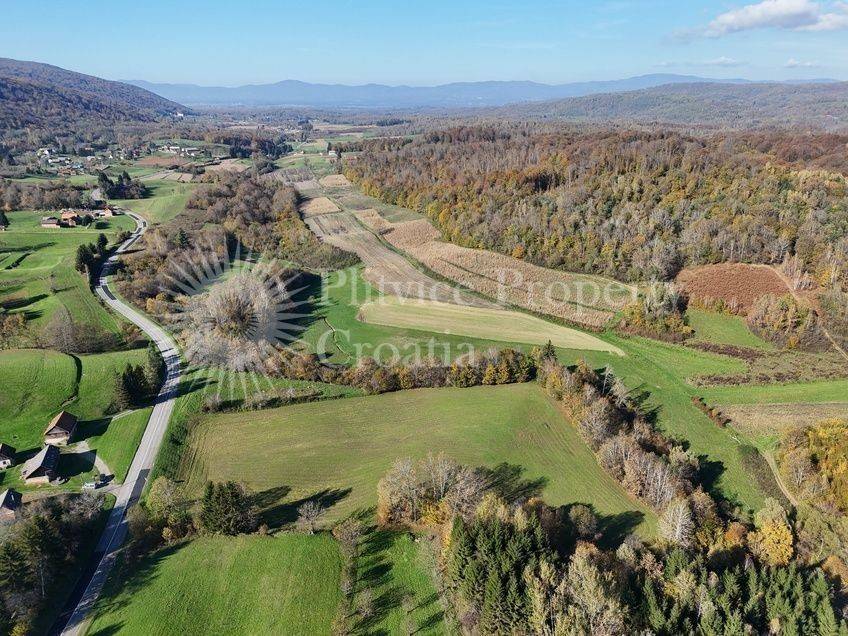 Agricultural plot, Sale, Ribnik, Griče