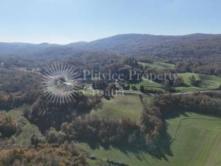 Agricultural plot, Sale, Ribnik, Griče