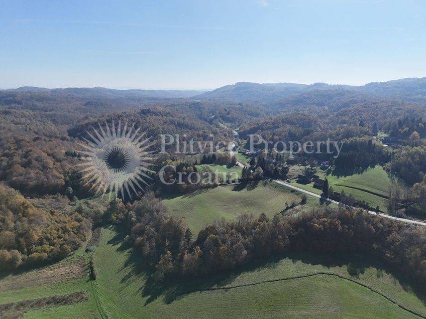 Agricultural plot, Sale, Ribnik, Griče