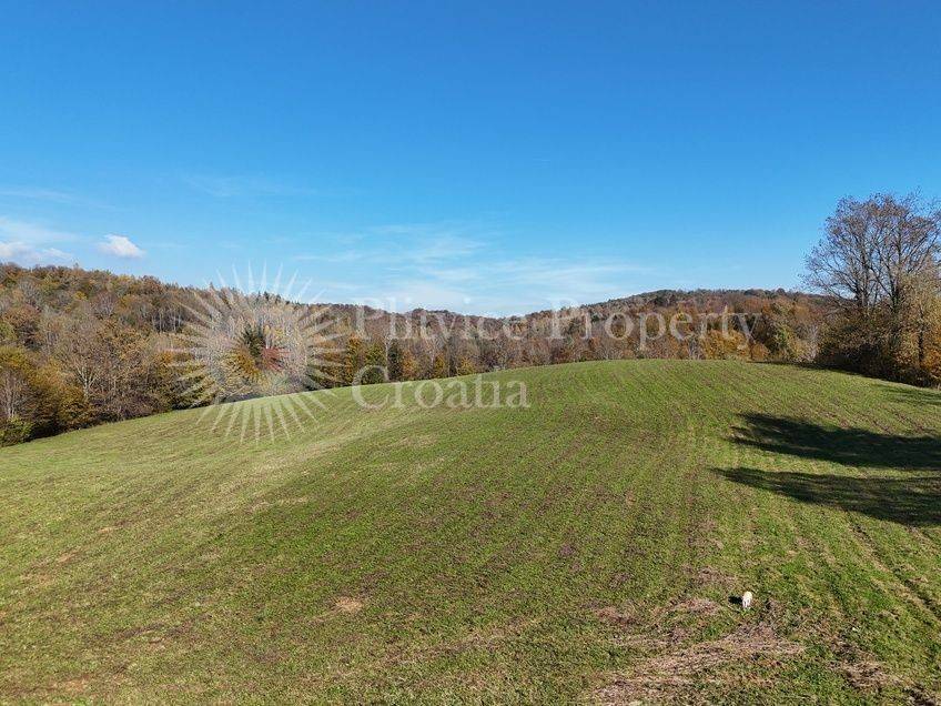 Agricultural plot, Sale, Ribnik, Griče