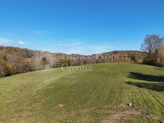 Agricultural plot, Sale, Ribnik, Griče
