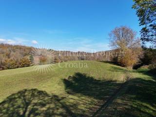Agricultural plot, Sale, Ribnik, Griče