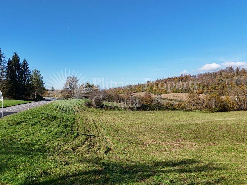 Agricultural plot, Sale, Ribnik, Griče
