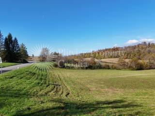 Agricultural plot, Sale, Ribnik, Griče