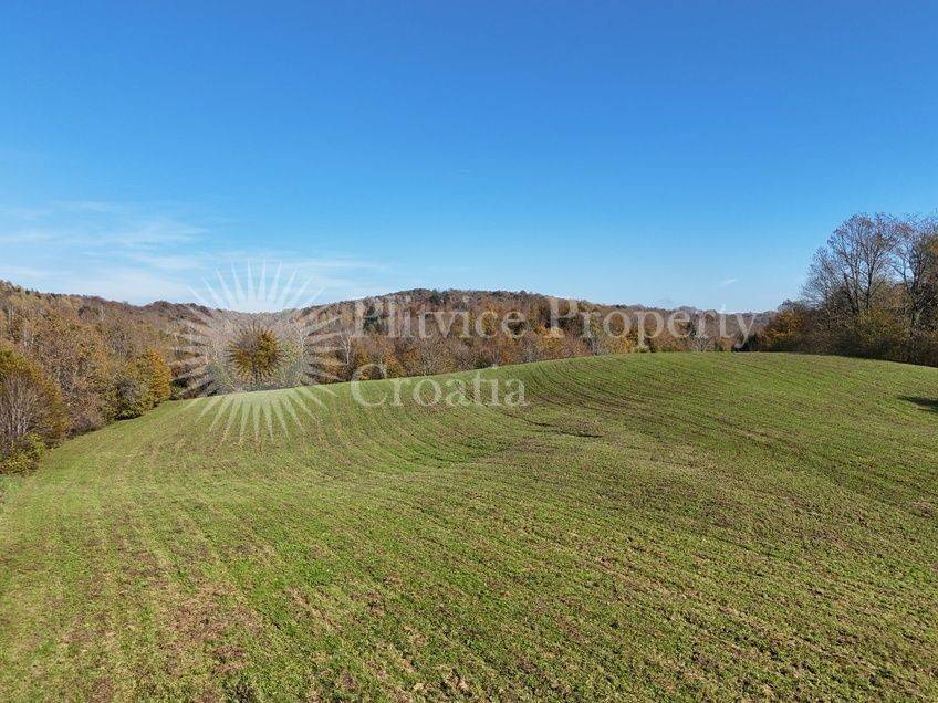 Agricultural plot, Sale, Ribnik, Griče