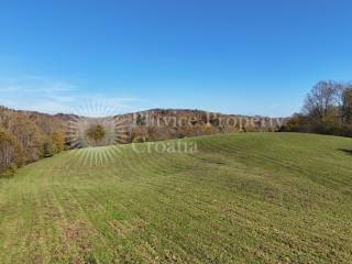 Agricultural plot, Sale, Ribnik, Griče