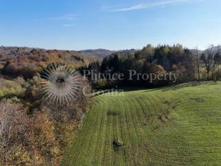 Agricultural plot, Sale, Ribnik, Griče