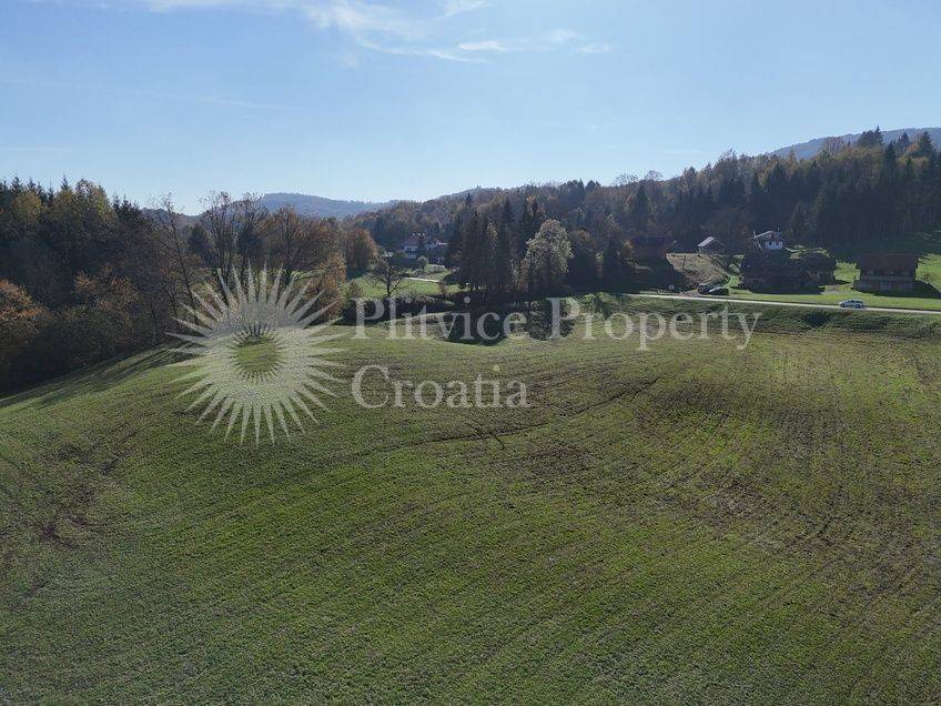 Agricultural plot, Sale, Ribnik, Griče