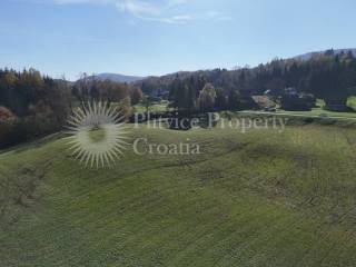 Agricultural plot, Sale, Ribnik, Griče
