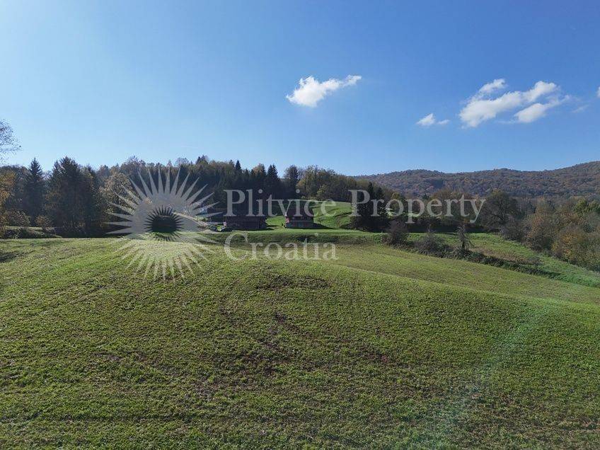 Agricultural plot, Sale, Ribnik, Griče