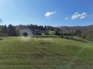 Agricultural plot, Sale, Ribnik, Griče
