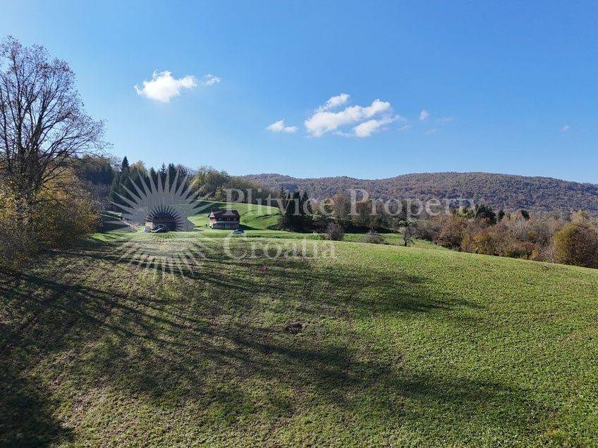 Agricultural plot, Sale, Ribnik, Griče