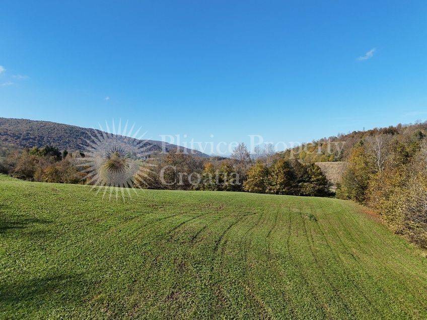 Agricultural plot, Sale, Ribnik, Griče