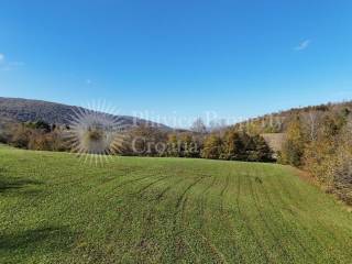 Agricultural plot, Sale, Ribnik, Griče