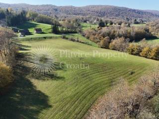 Agricultural plot, Sale, Ribnik, Griče