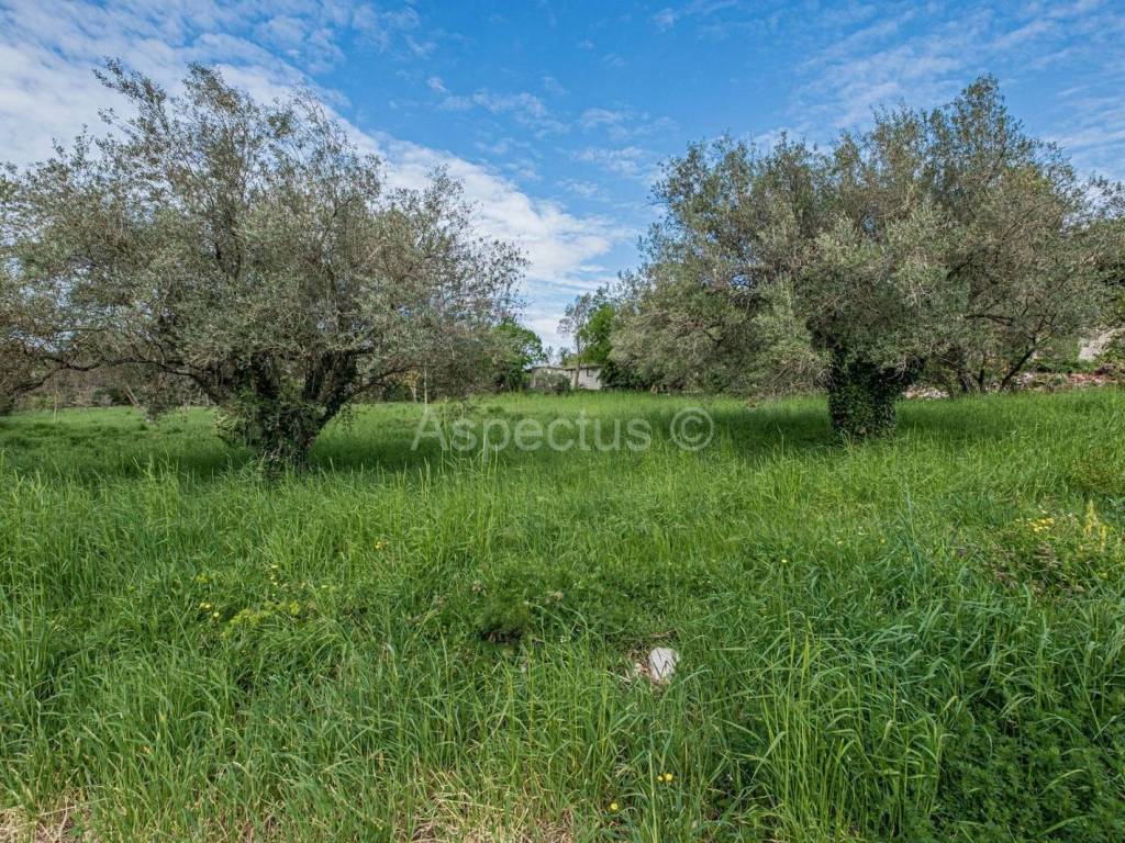 Plot for construction, Sale, Marčana, Marčana