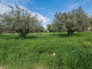 Plot for construction, Sale, Marčana, Marčana