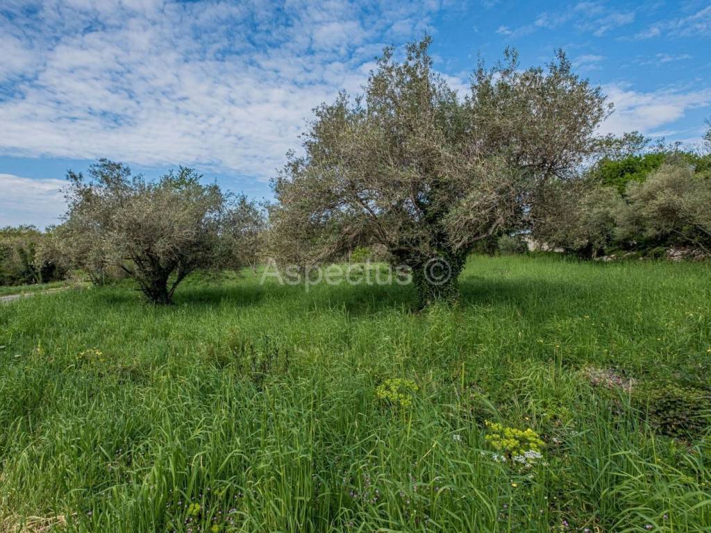 Plot for construction, Sale, Marčana, Marčana