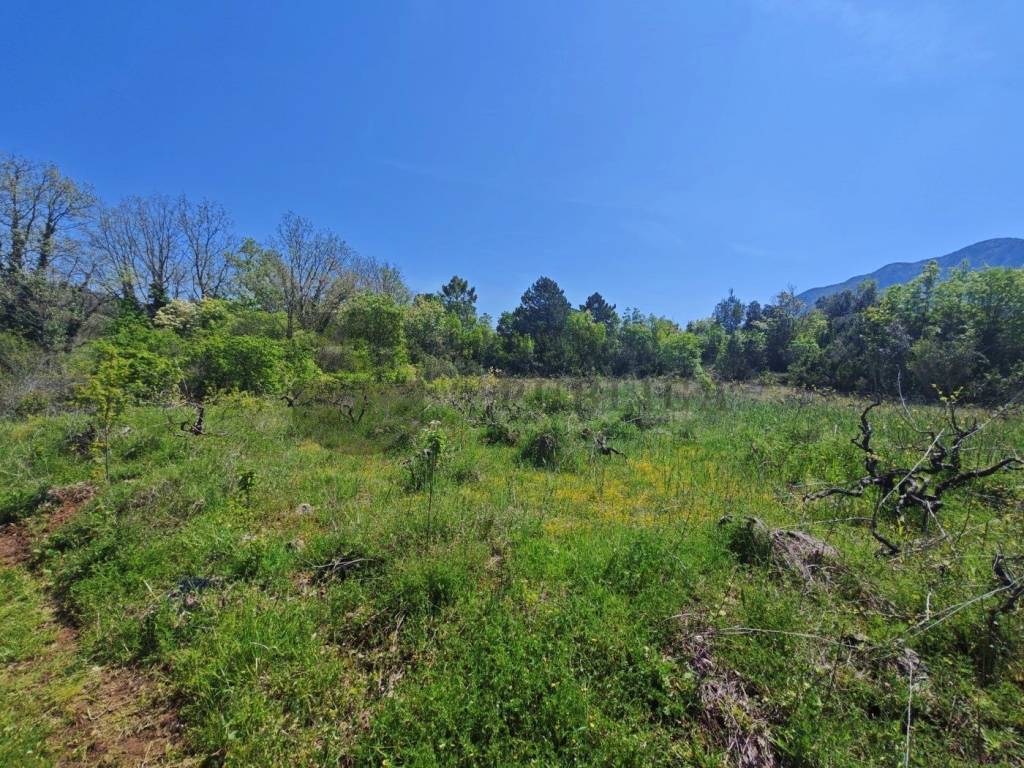 Plot for construction, Sale, Ston, Putniković