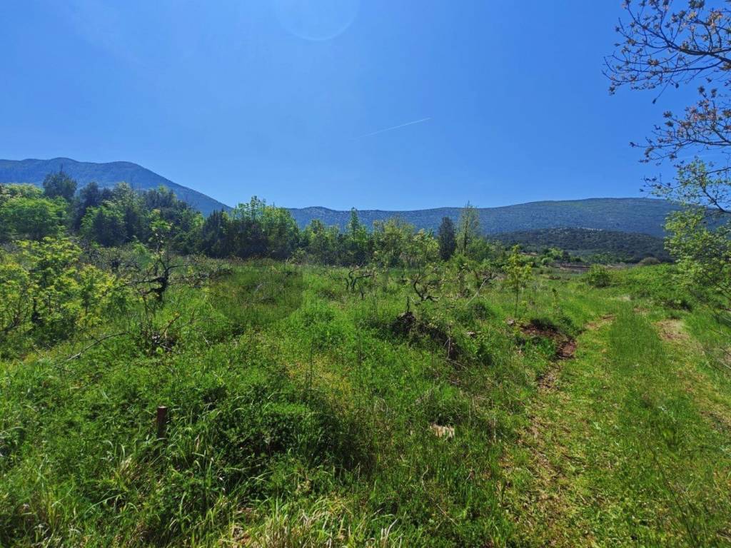 Plot for construction, Sale, Ston, Putniković