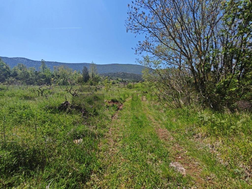 Plot for construction, Sale, Ston, Putniković