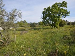 Plot for construction, Sale, Poreč, Poreč
