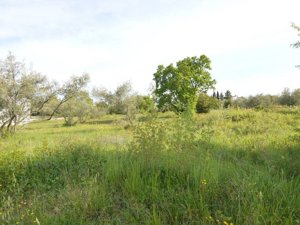 Plot for construction, Sale, Poreč, Poreč