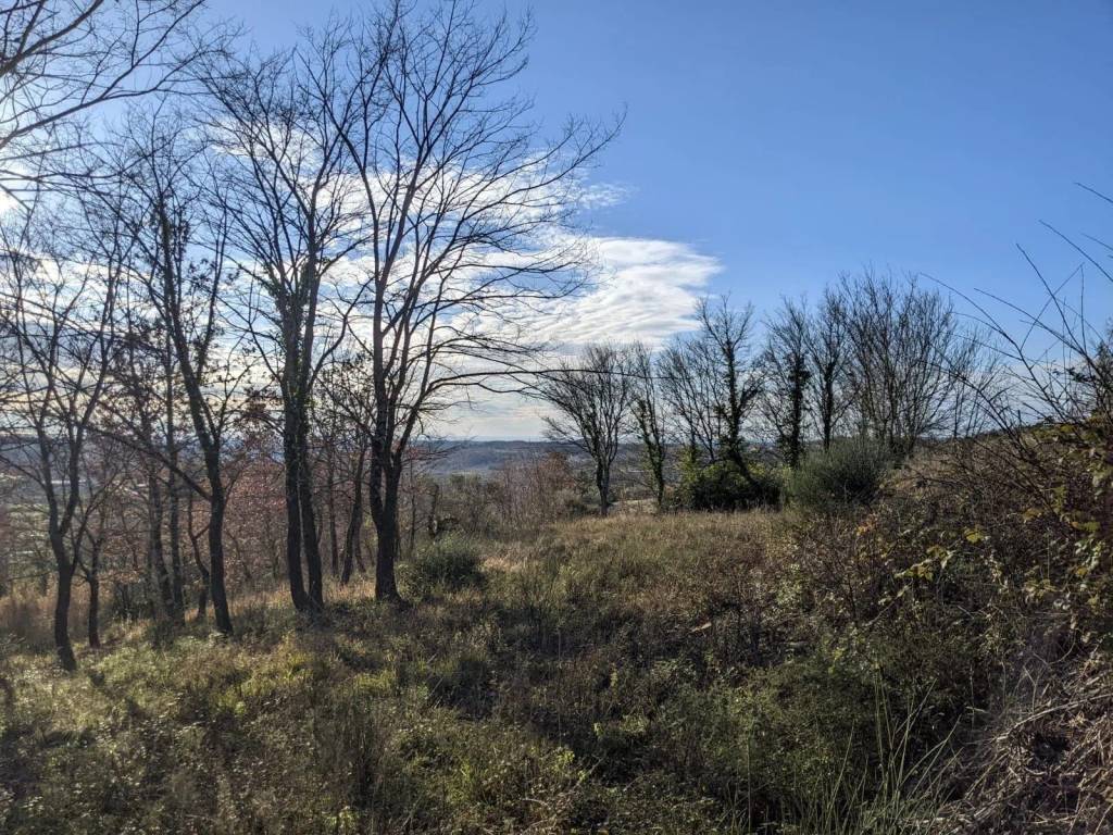Plot for construction, Sale, Grožnjan, Grožnjan