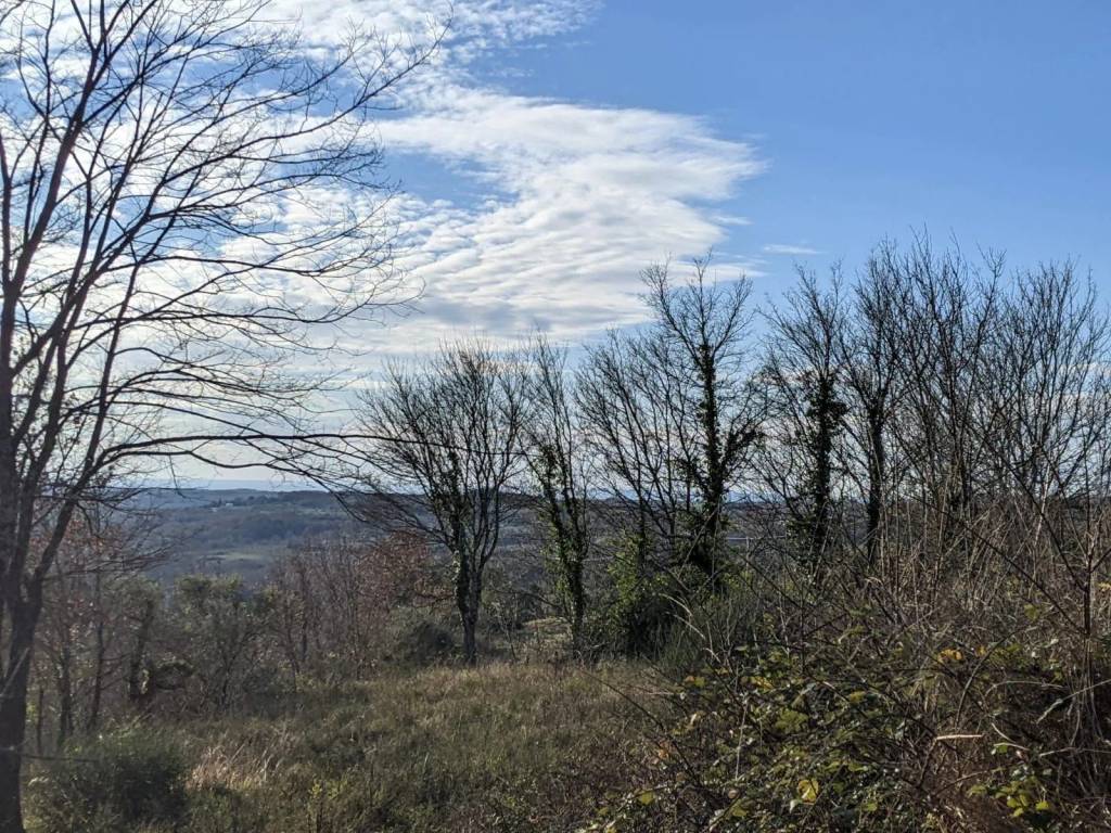 Plot for construction, Sale, Grožnjan, Grožnjan