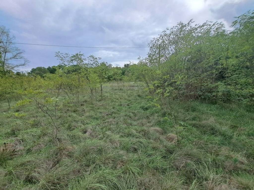 Plot for construction, Sale, Labin, Labin